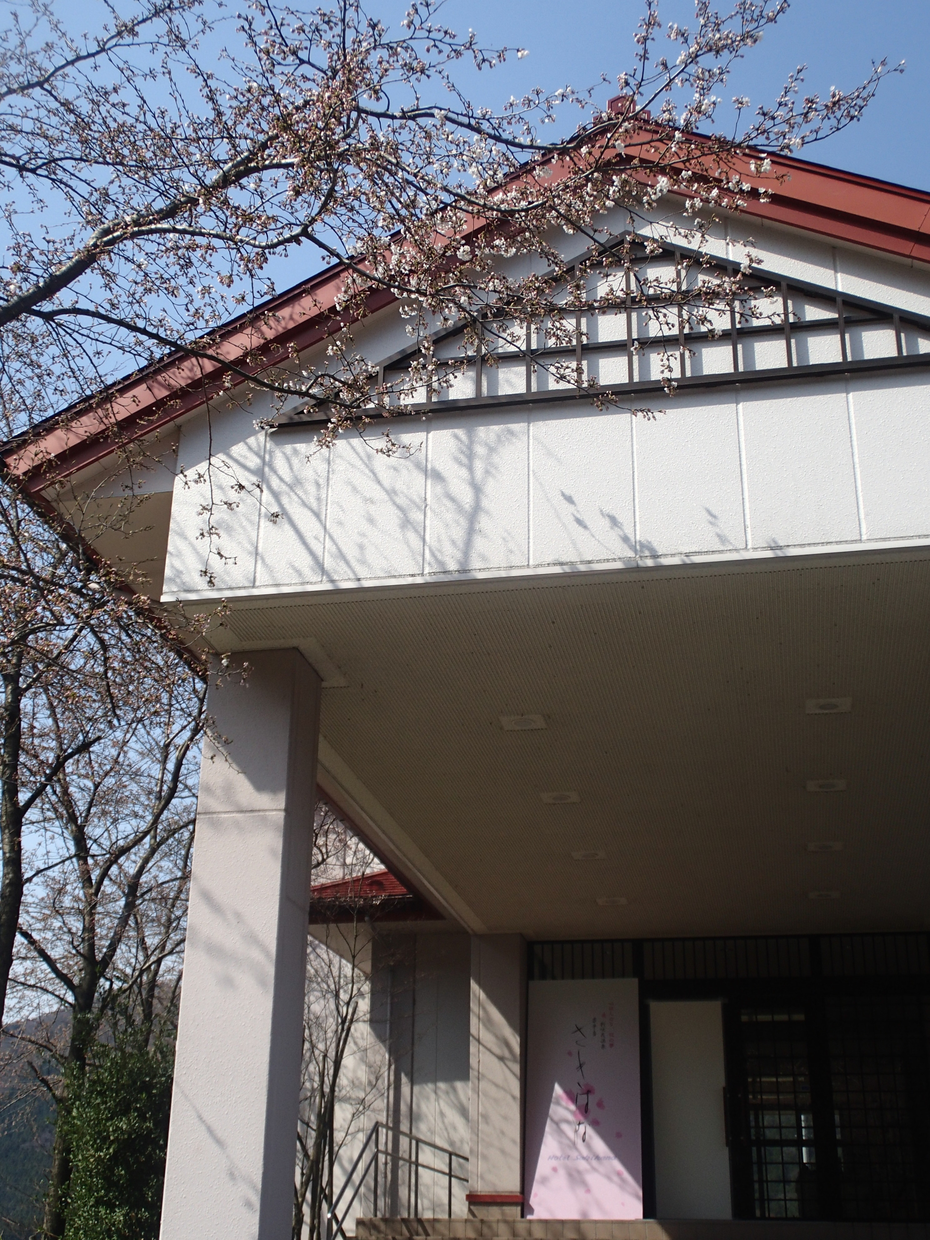 http://www.hotel-sakihana.com/event/%E9%A7%90%E8%BB%8A%E5%A0%B4%E6%A1%9C%EF%BC%91.JPG
