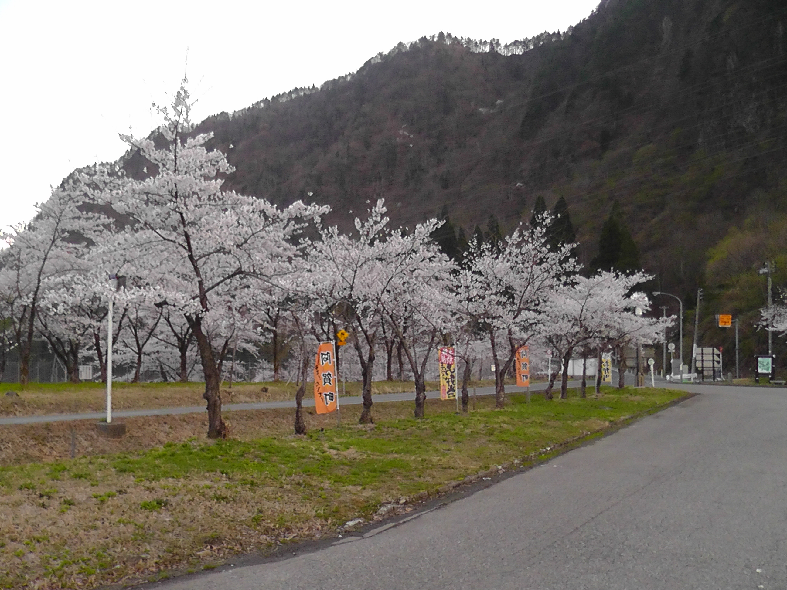 http://www.hotel-sakihana.com/event/H4100004.JPG