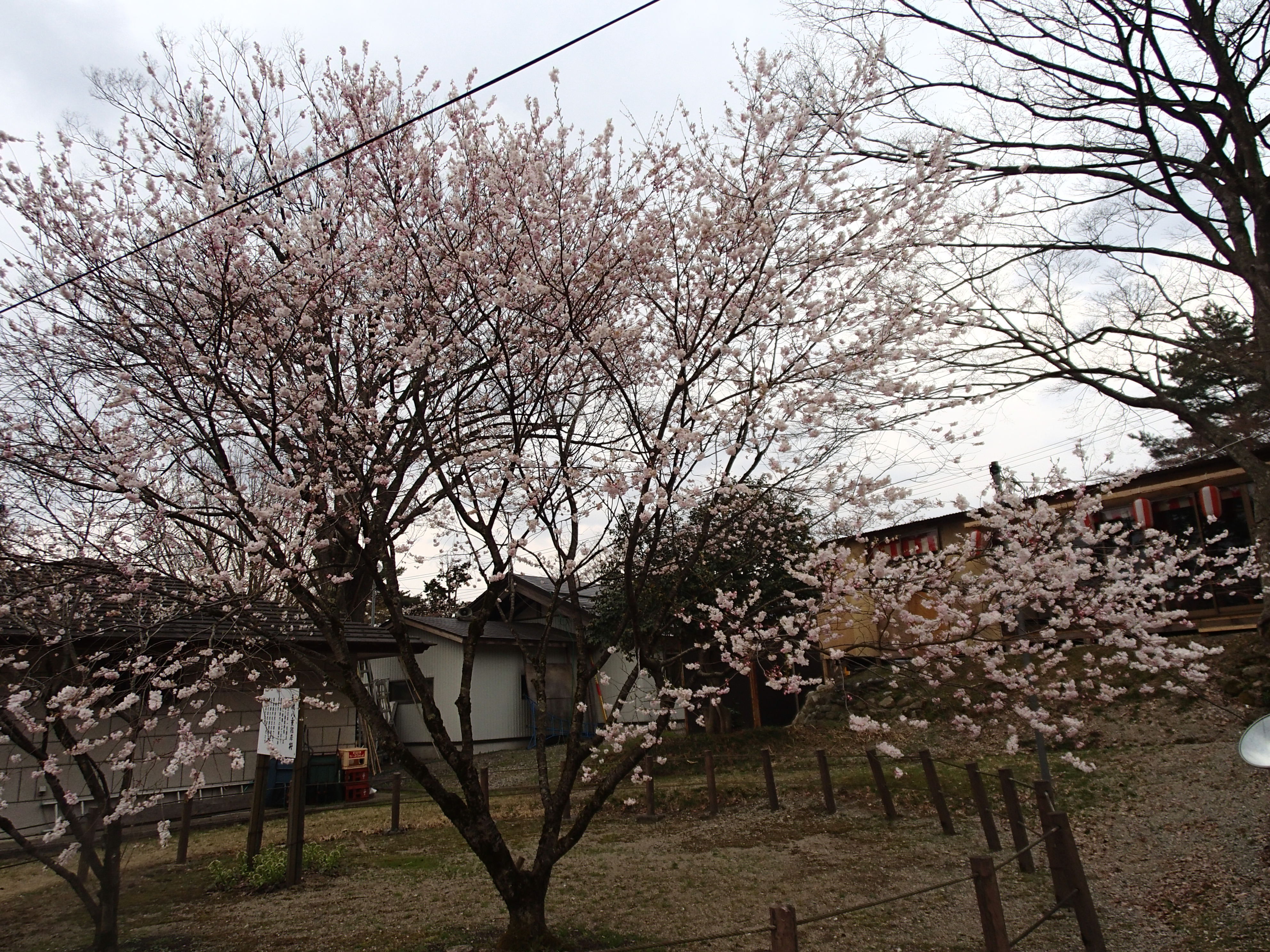 http://www.hotel-sakihana.com/event/P4090442.JPG