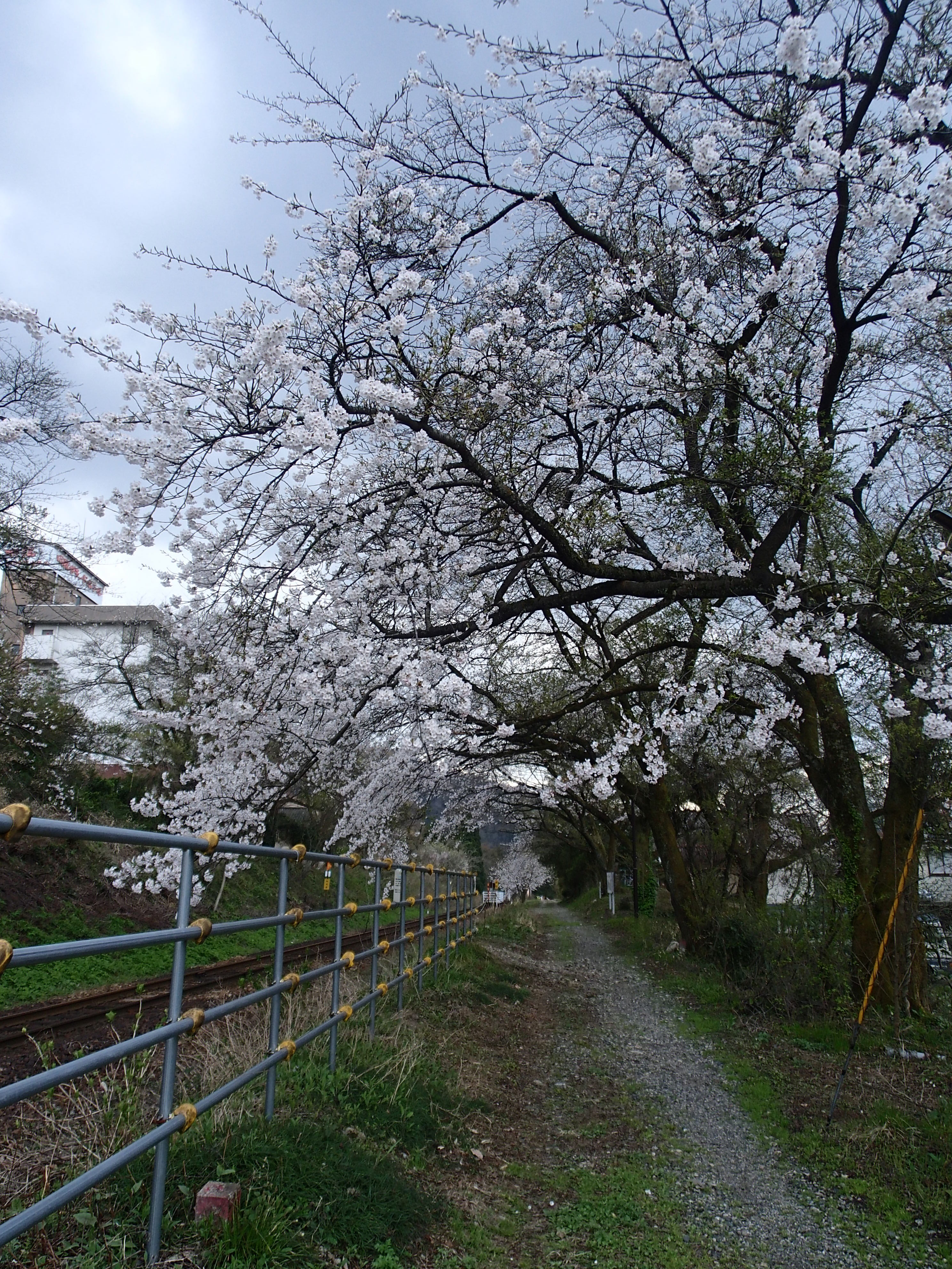 http://www.hotel-sakihana.com/event/P4190763.JPG