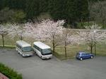 20110422_07.JPG