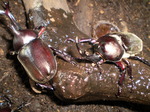 20110715_01.JPGのサムネール画像