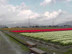 H4070005.JPG