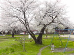 H4080009.JPG