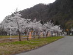 H4100004.JPG