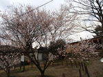 P4090442.JPG