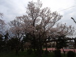 P4090446.JPG