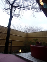 P4170760.JPG