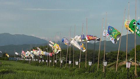 http://www.hotel-sakihana.com/event/koinobori2.JPG