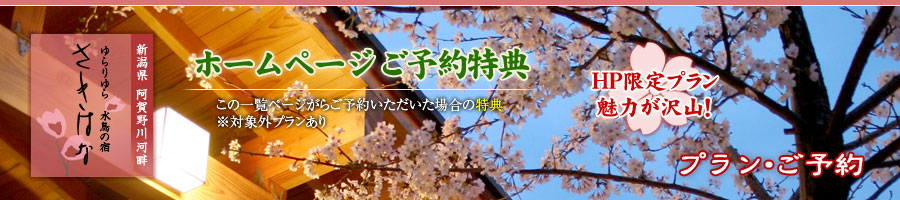 �v�����E���\��b�z�e�������͂� - �V���� �V��ԉ���
